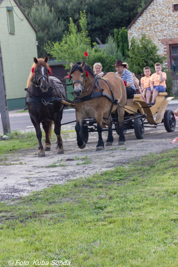 DD2019_27.jpg DD2019_27.jpg