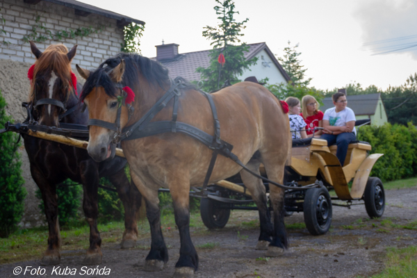 DD2019_28.jpg DD2019_28.jpg