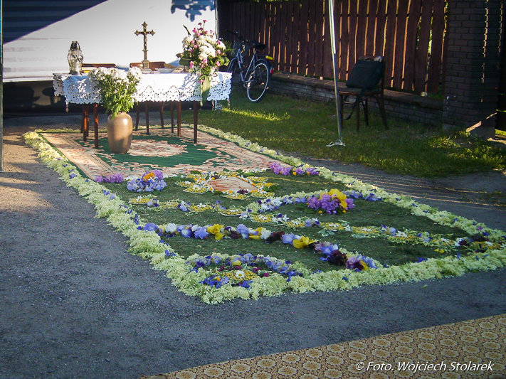 SL276569-1.jpg SL276569-1.jpg