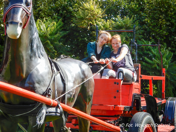 DSCN9399-1.jpg DSCN9399-1.jpg